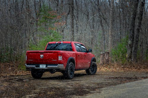 Conference hall setup